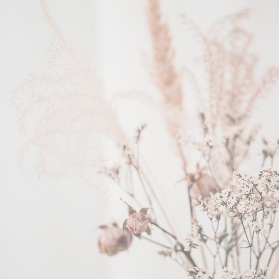 cabinet-naturopathie-bordeaux-luna-labat